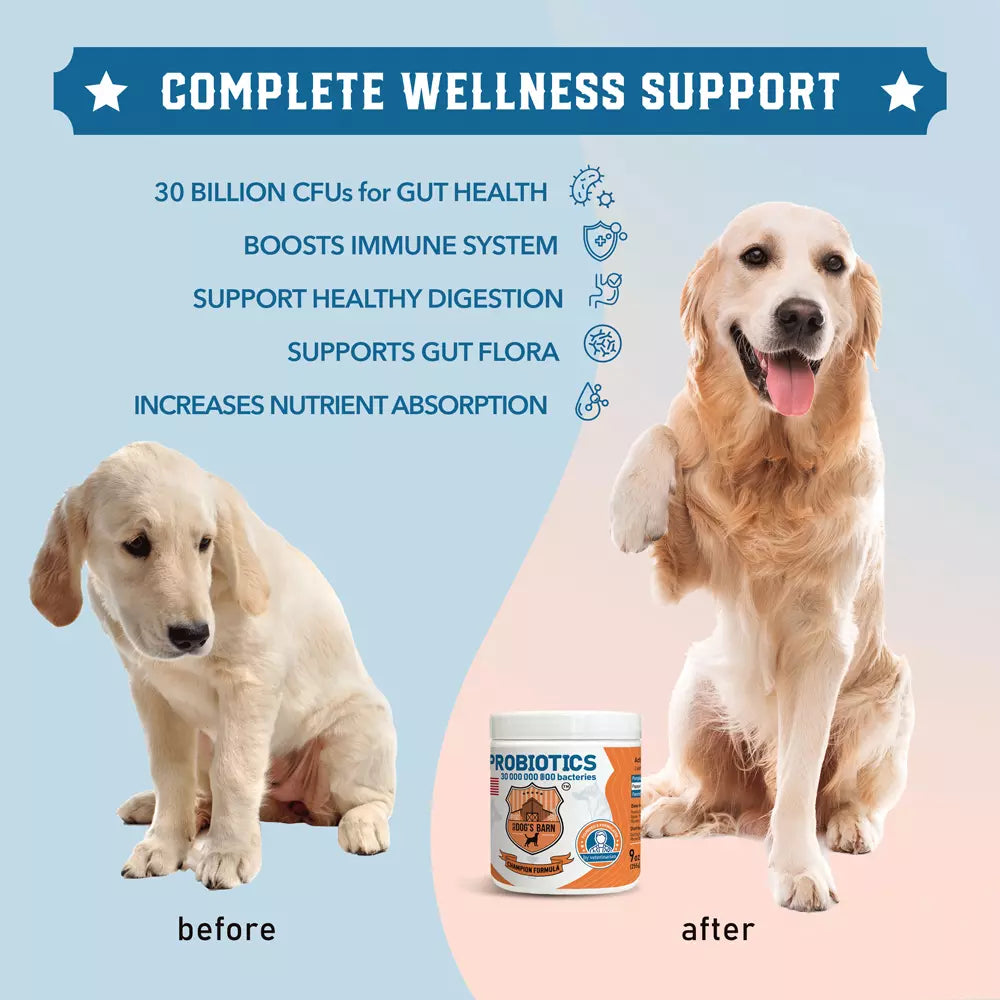 Probiotics